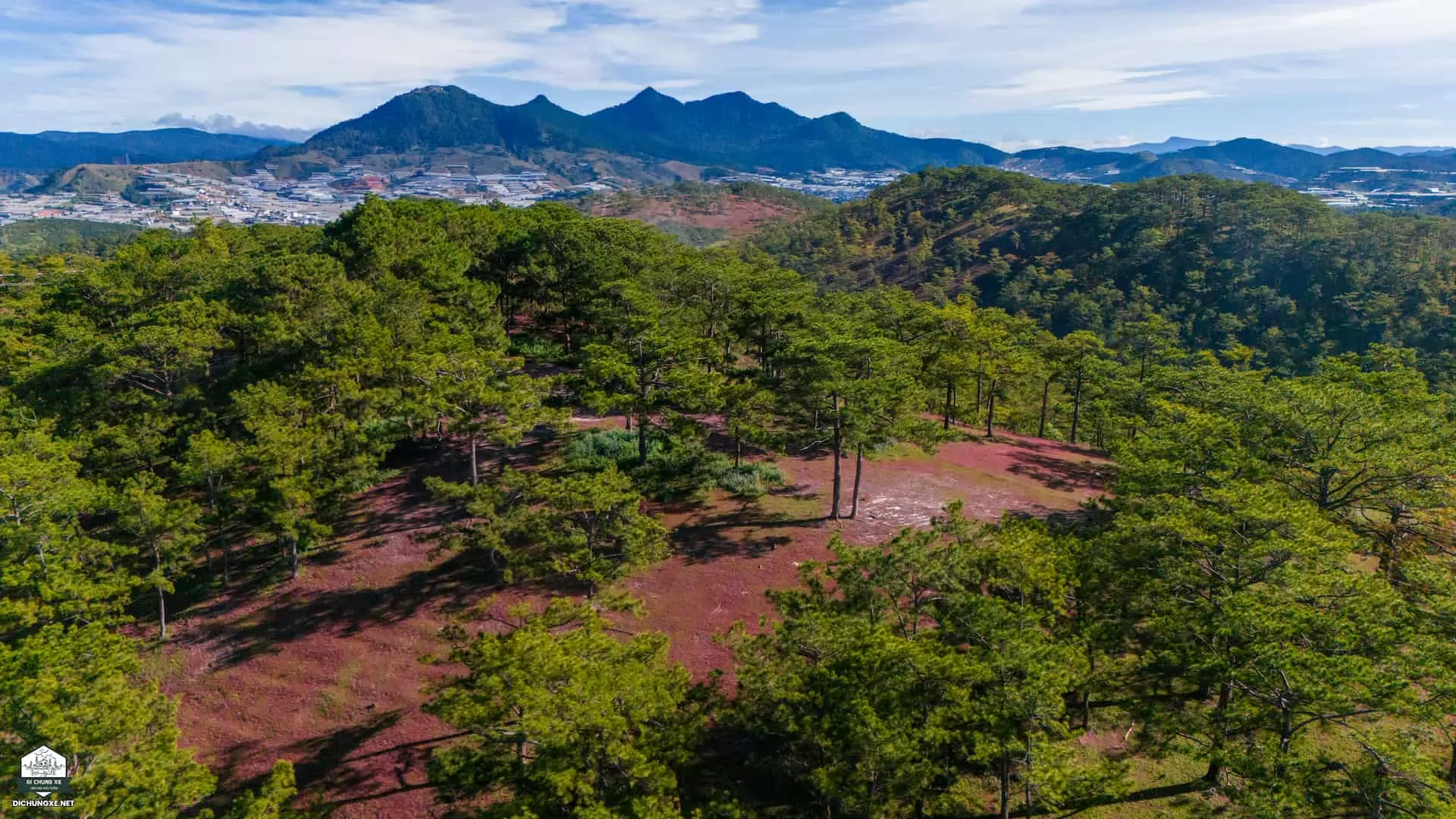 Hồ Dankia - Cây Thông cô đơn - Đồi 3 cây thông